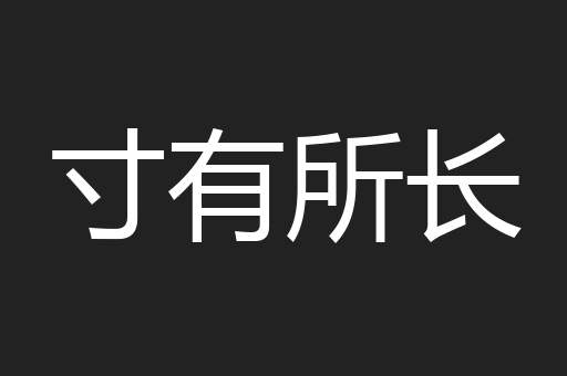 寸有所长