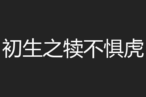初生之犊不惧虎