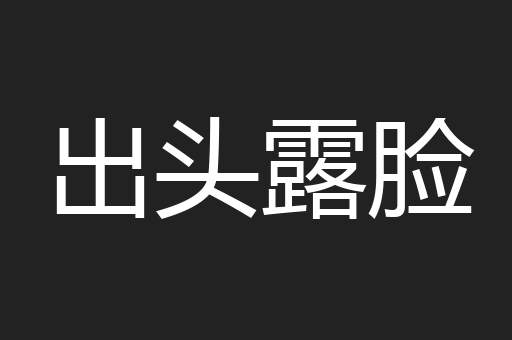 出头露脸