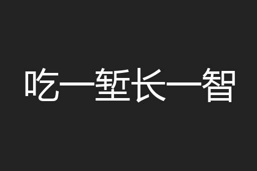 吃一堑长一智
