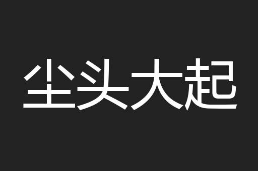 尘头大起
