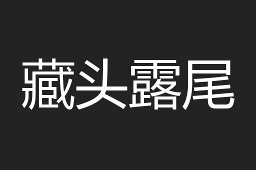 藏头露尾