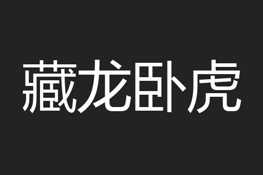 藏龙卧虎