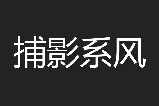捕影系风