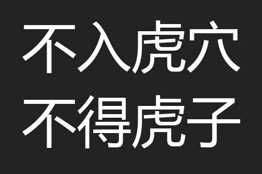 不入虎穴不得虎子