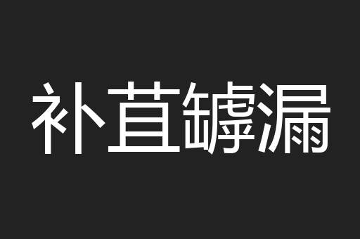 补苴罅漏