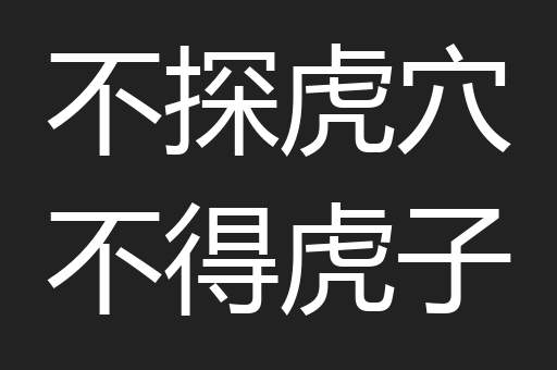 不探虎穴不得虎子