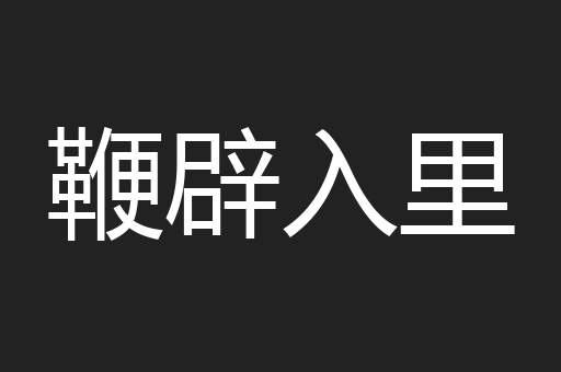 鞭辟入里