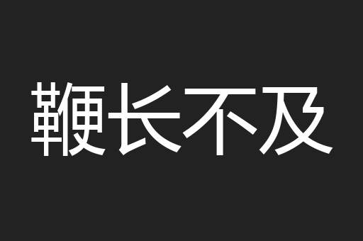 鞭长不及