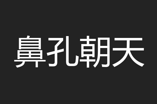 鼻孔朝天