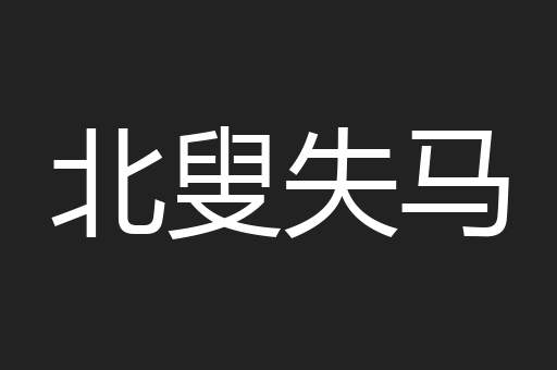 北叟失马