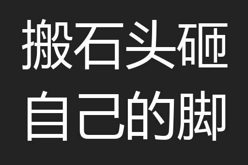 搬石头砸自己的脚