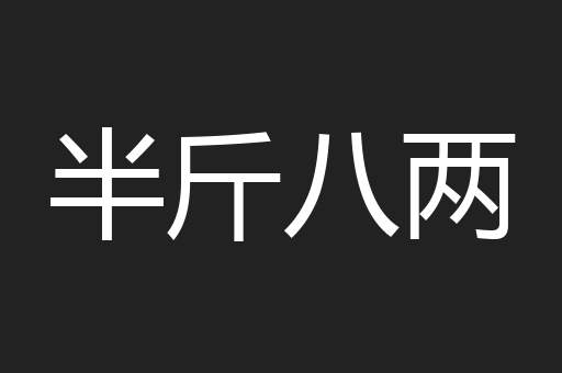 半斤八两