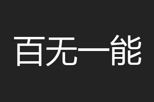百无一能