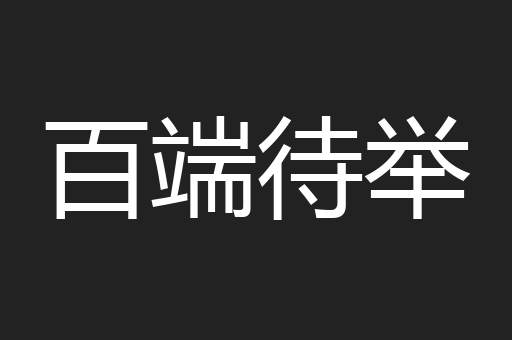 百端待举