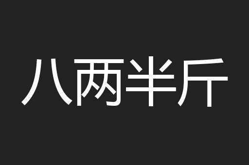 八两半斤