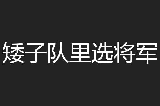 矮子队里选将军