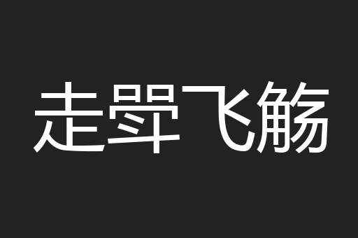 走斝飞觞
