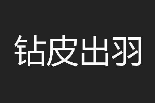 钻皮出羽
