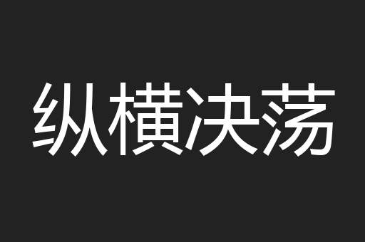 纵横决荡