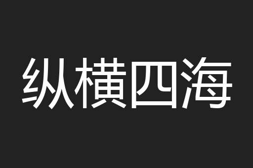 纵横四海
