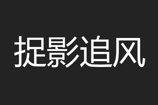 捉影追风