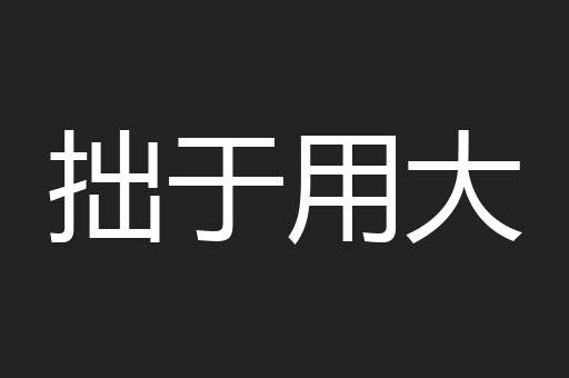 拙于用大
