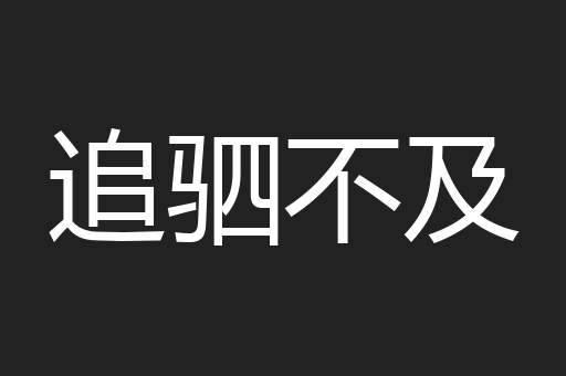 追驷不及