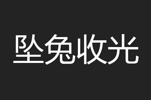 坠兔收光