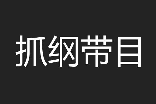 抓纲带目