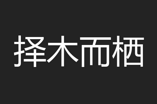 择木而栖