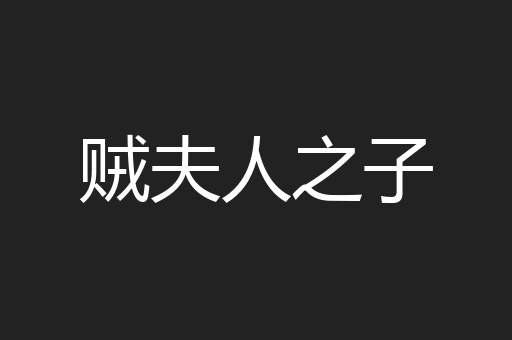 贼夫人之子