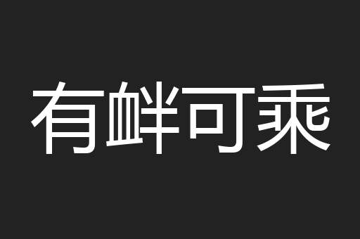 有衅可乘