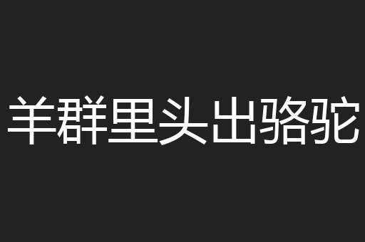 羊群里头出骆驼