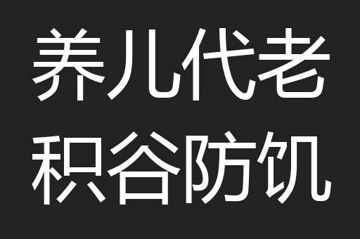 养儿代老积谷防饥