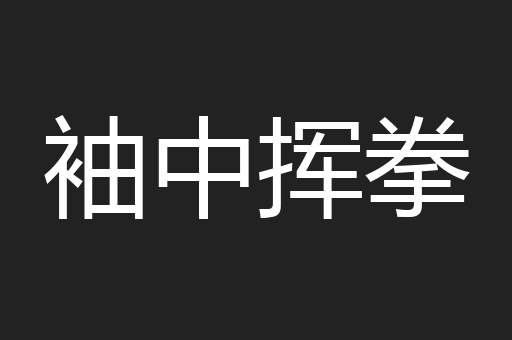 袖中挥拳