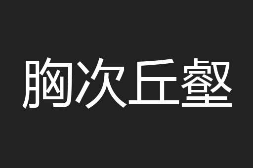 胸次丘壑