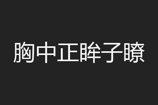 胸中正眸子瞭