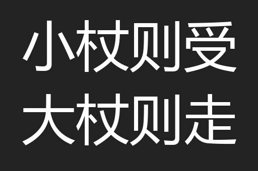 小杖则受大杖则走