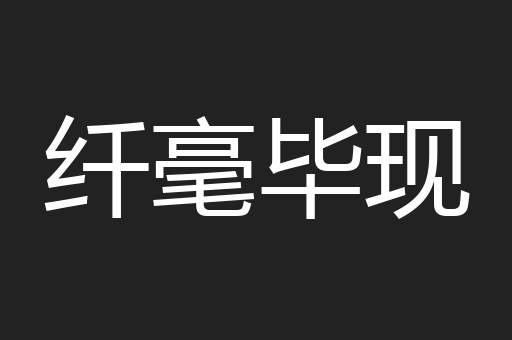 纤毫毕现