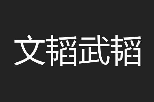 文韬武韬