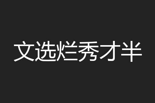文选烂秀才半