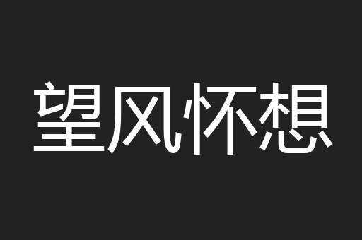 望风怀想