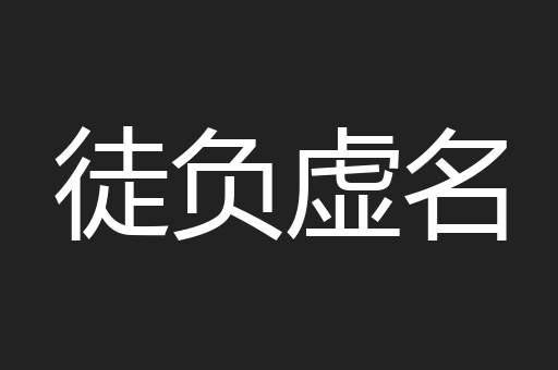 徒负虚名