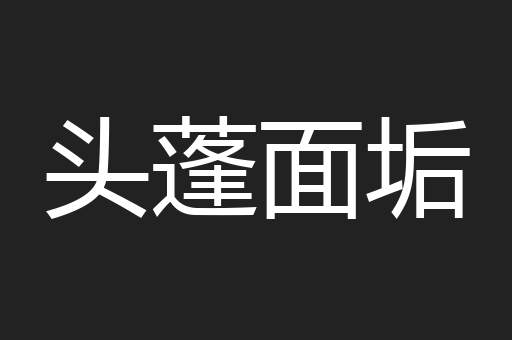 头蓬面垢
