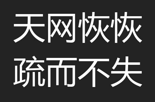 天网恢恢疏而不失