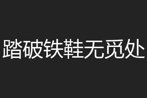 踏破铁鞋无觅处