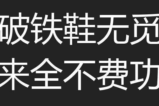 踏破铁鞋无觅处得来全不费功夫