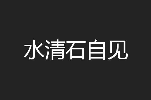 水清石自见