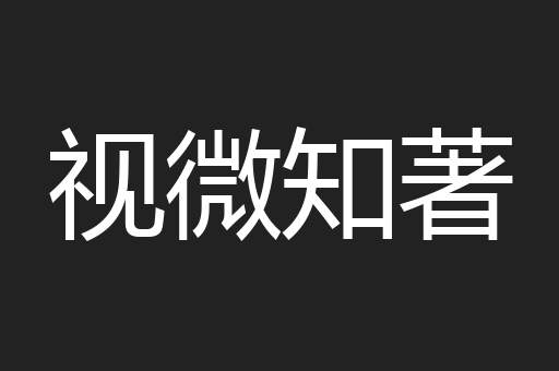 视微知著